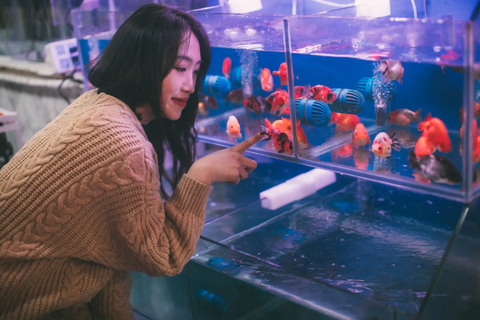 山西地区水族店设备采购指南：鱼缸灯与过滤器配置方案正文配图 1
