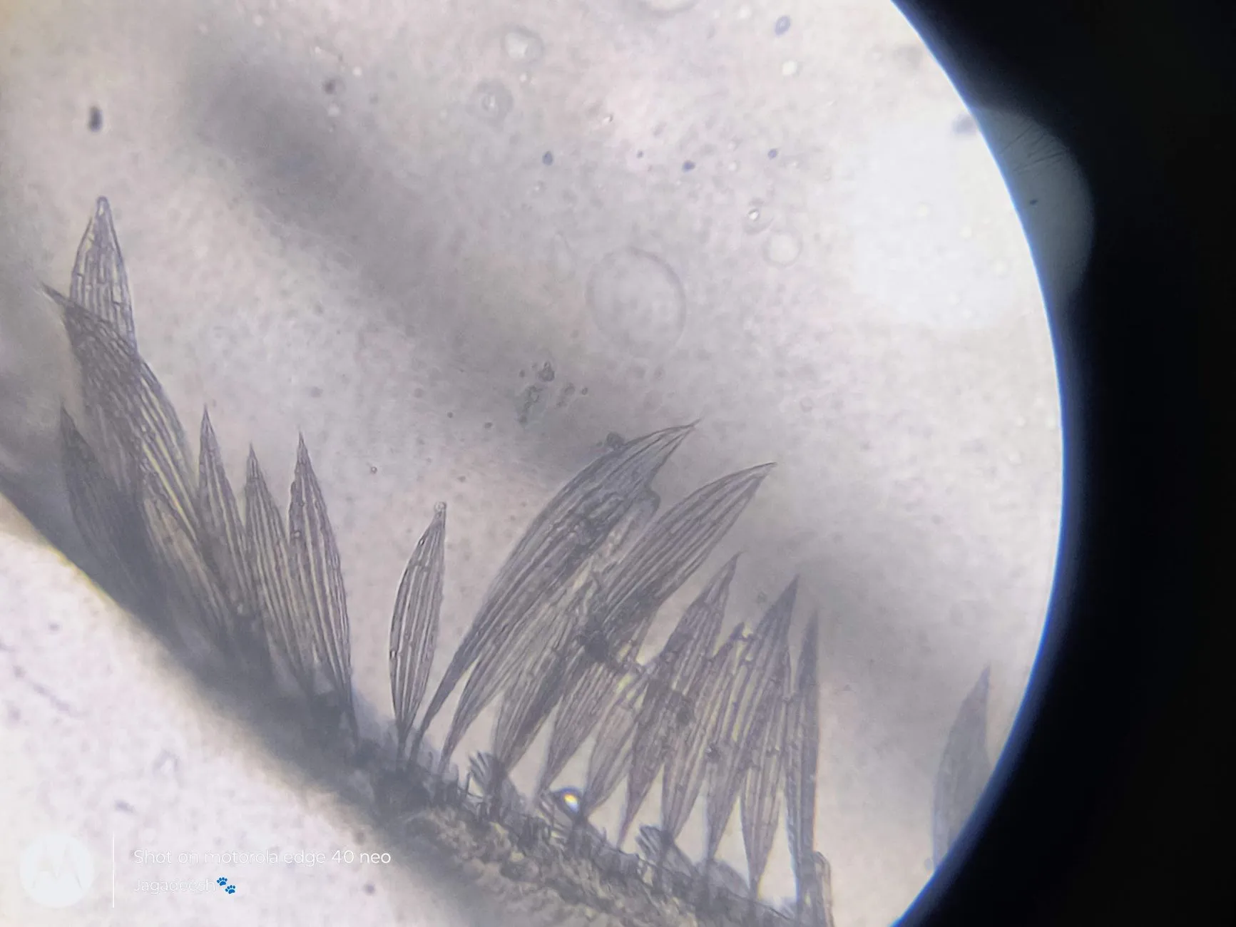 山西水族店经营设备选型指南：鱼缸灯及过滤器配置方案详解