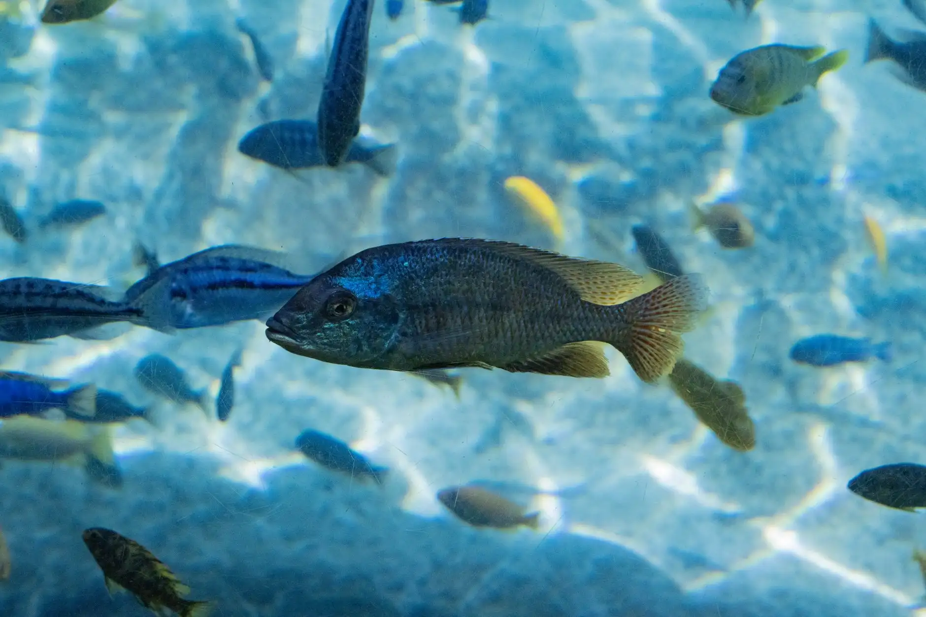太原众顾商贸水族箱过滤器与加热棒产品型号参数对比分析正文配图 1