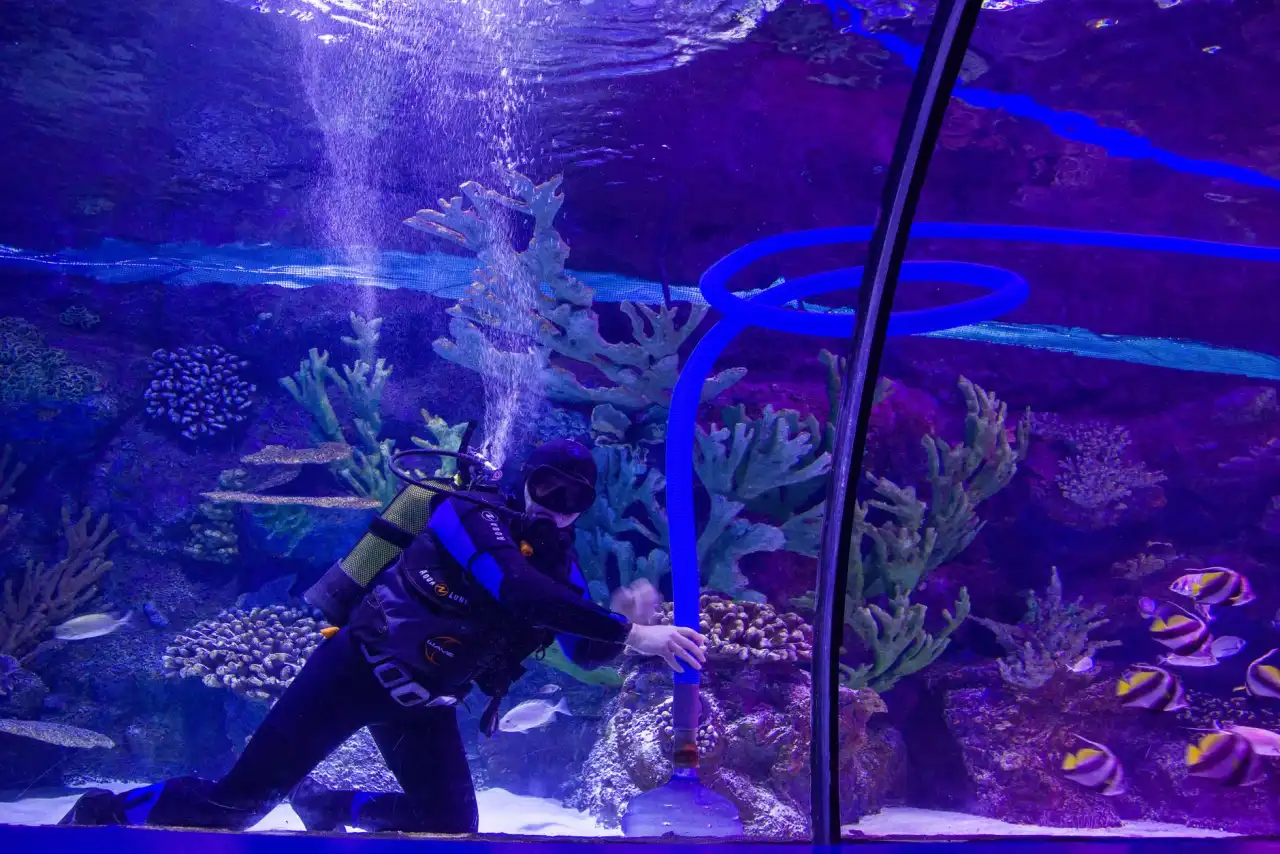 太原水族箱过滤器选型要点及日常维护技术指南正文配图 1