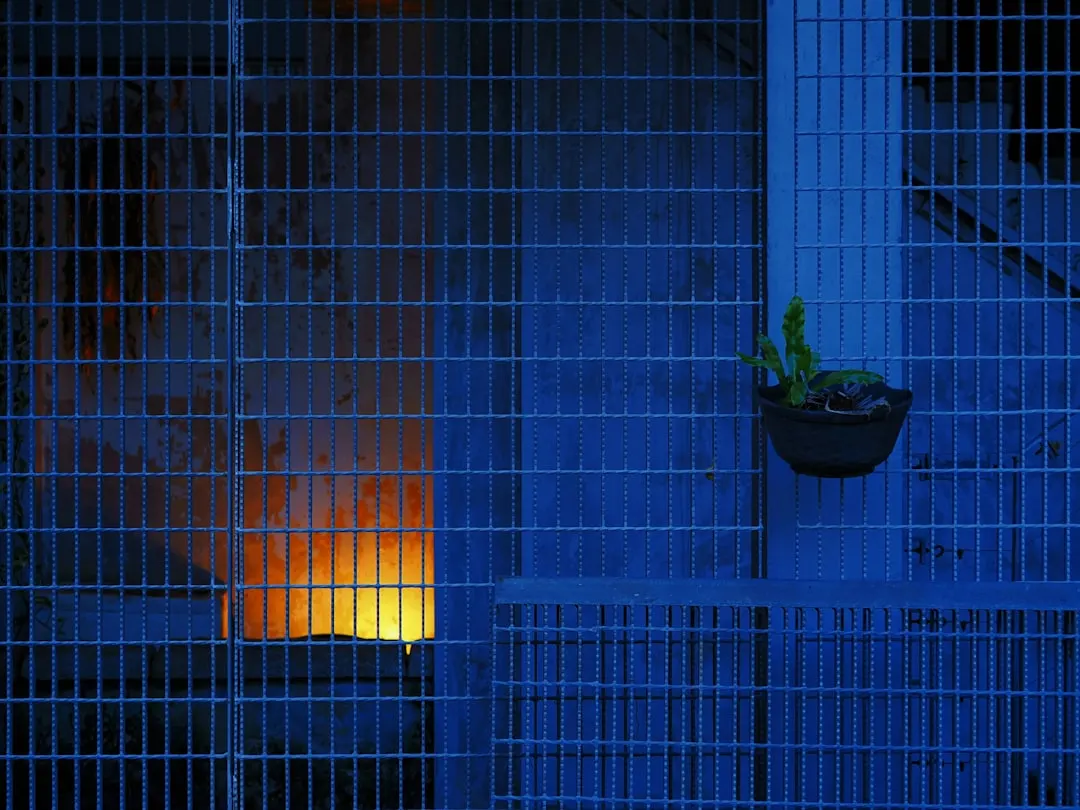 太原水族箱选购指南：从玻璃材质到过滤系统的配置要点正文配图 2