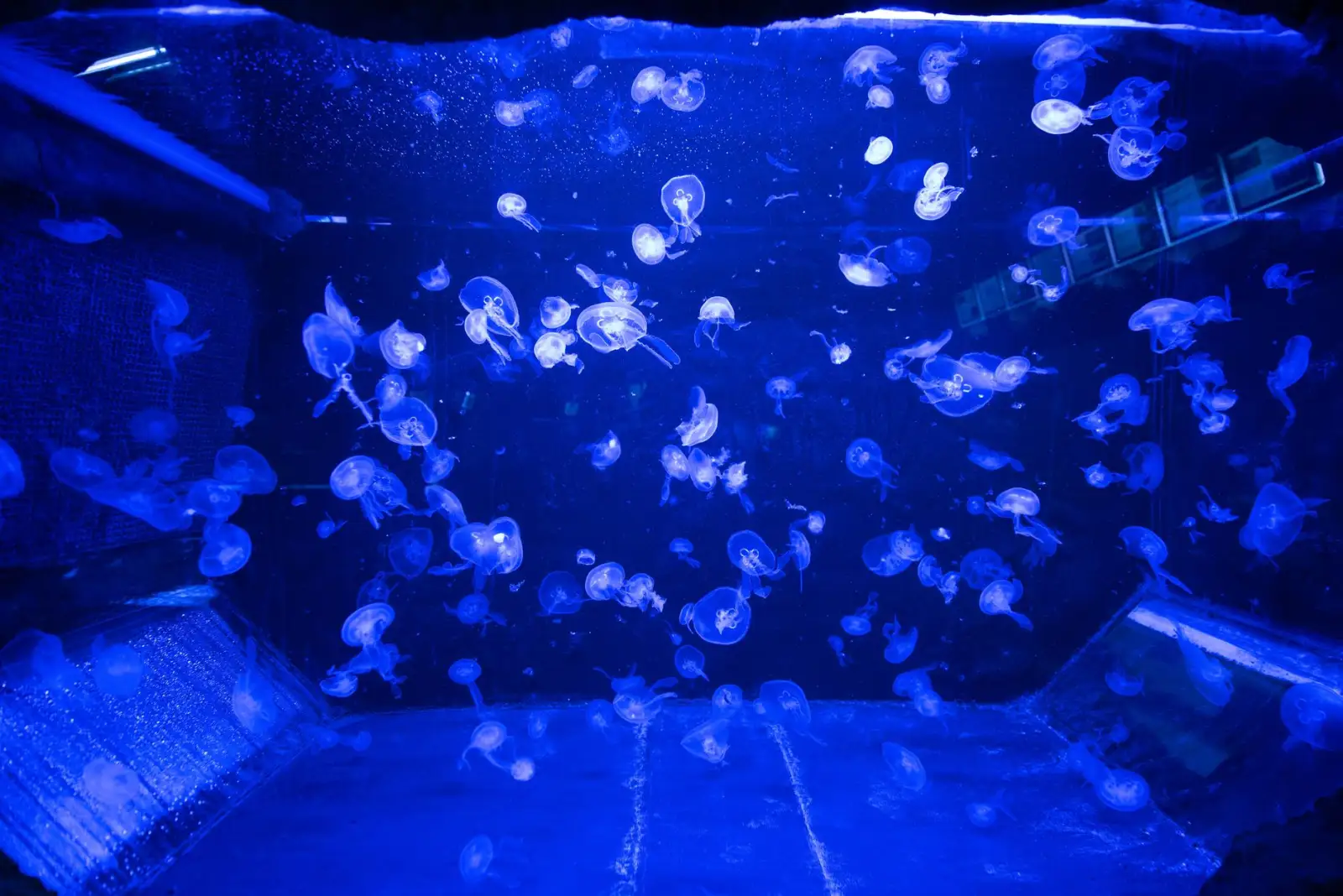 太原众顾商贸水族箱过滤器系列型号参数与适用场景对比正文配图 2