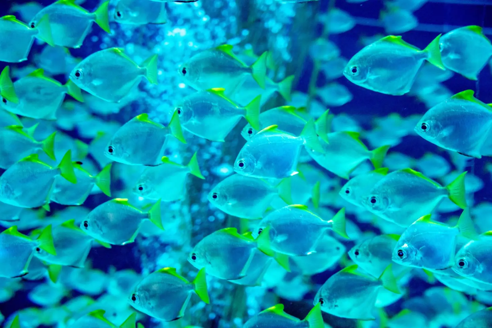 太原众顾商贸水族箱过滤器选型指南：流量与扬程匹配要点正文配图 1