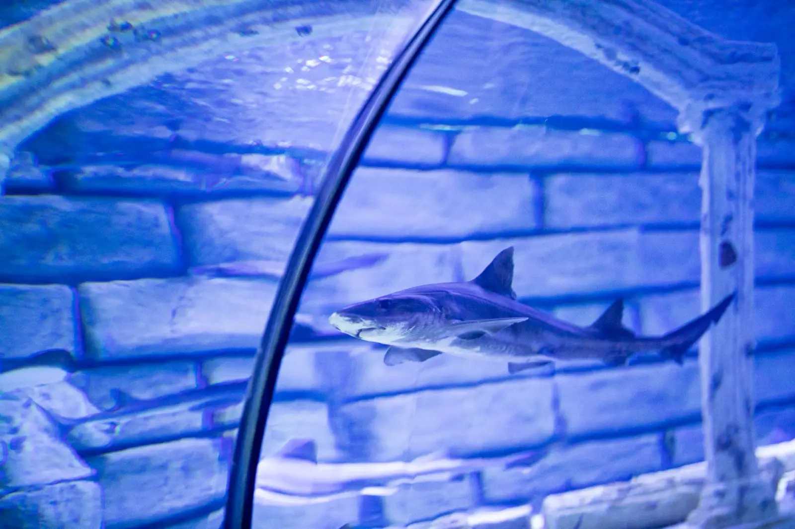 太原水族箱选购指南：从玻璃材质到过滤系统的配置要点正文配图 1